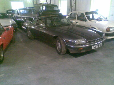1 (10)_opt.jpg