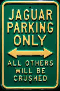 3045-JAGUAR.jpg