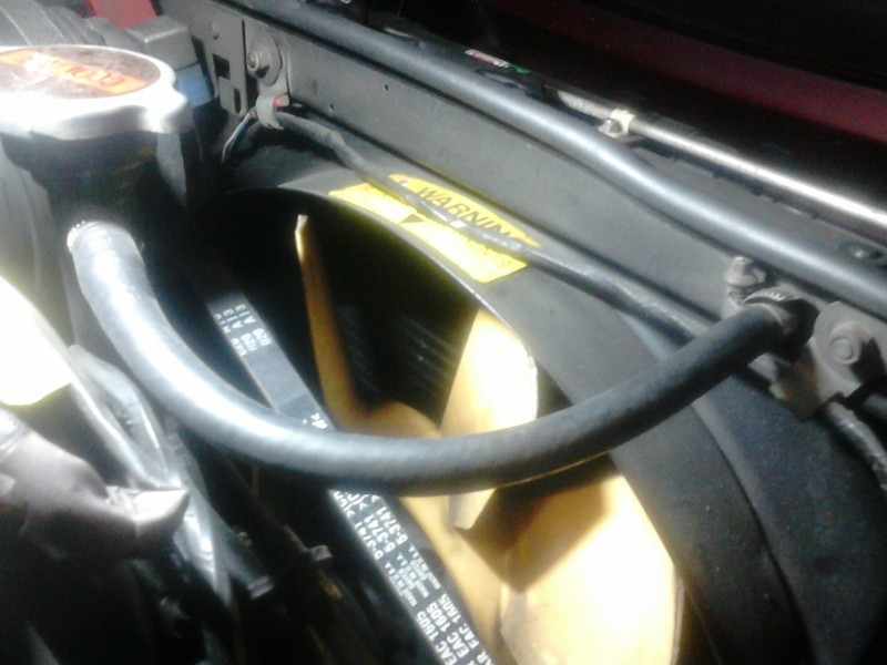 Hose_5.jpg