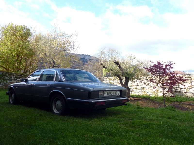 P1010164.jpg