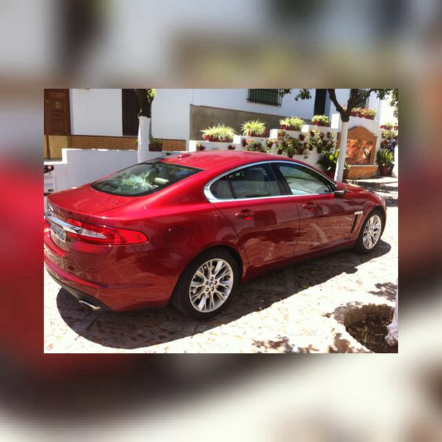 Foto de este verano - 2016