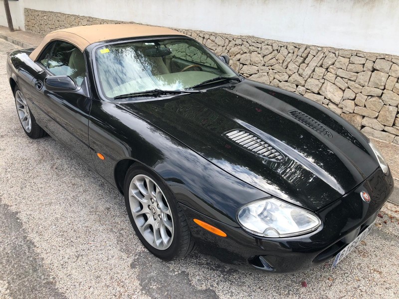 WhatsApp Image 2020-08-29 at 11.25.32.jpeg